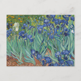 Irises av Vincent Van Gogh Vykort