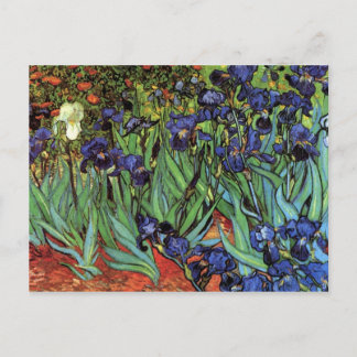 Irises av Vincent van Gogh Vykort