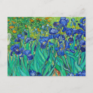 Irises av Vincent Van Gogh Vykort