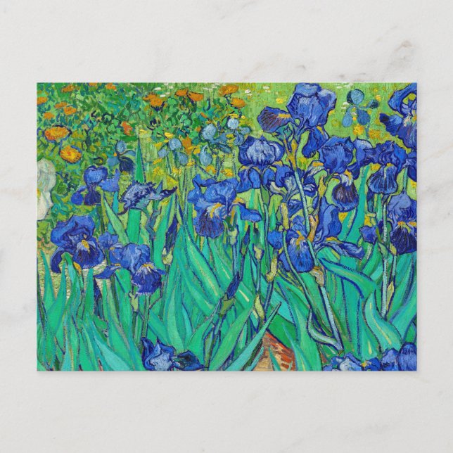 Irises av Vincent Van Gogh Vykort (Framsida)