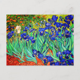 Irises av Vincent Van Gogh Vykort