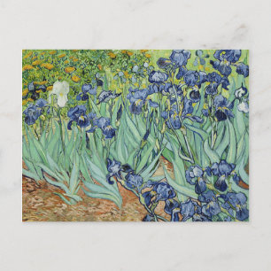 Irises av Vincent van Gogh Vykort