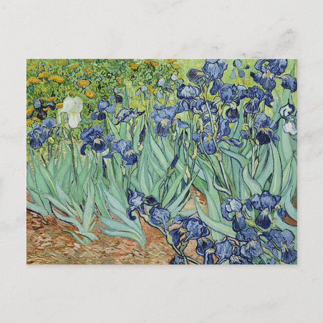 Irises av Vincent van Gogh Vykort (Framsida)