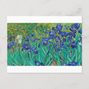 Irises av Vincent van Gogh Vykort