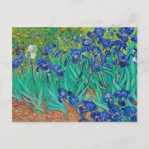Irises av Vincent van Gogh Vykort