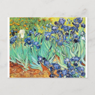 Irises av Vincent Van Gogh Vykort
