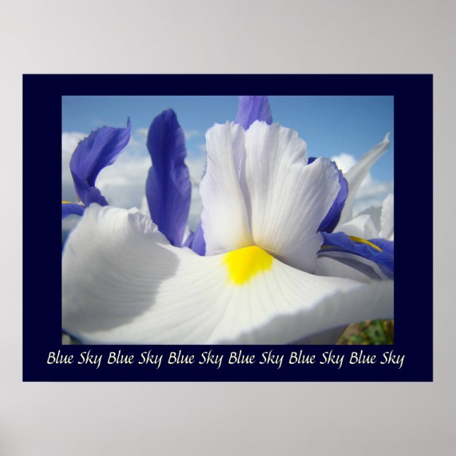 Irises Blå himmel art print Healing Touch Näring Poster (Framsidan)