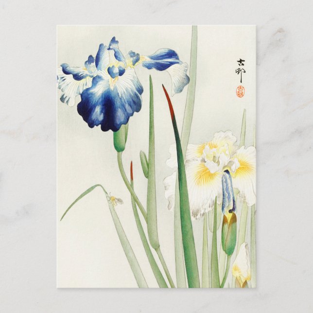 Irises Blommigt Flower Painting by Ohara Koson Vykort (Framsida)