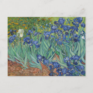 Irises Blue Grönt Gult Van Gogh Vykort