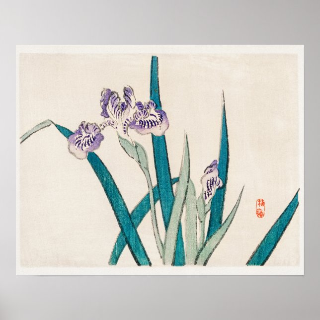 Irises by Kōno Bairei (1844-1895) Poster (Framsidan)