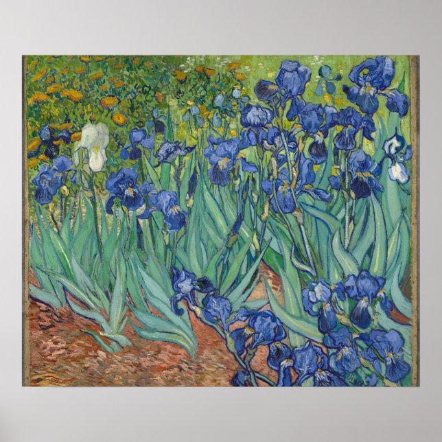 Irises by Vincent Van Gogh Poster (Framsidan)