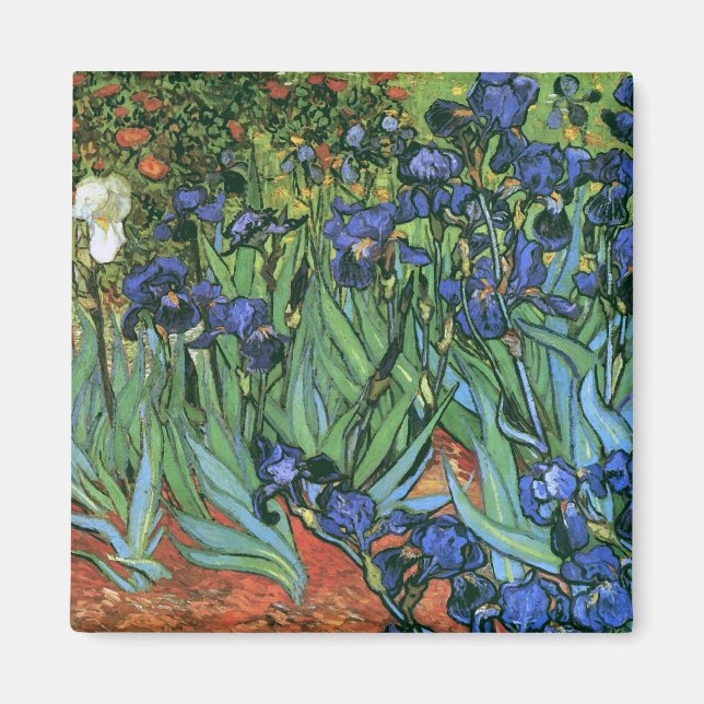 Irises (F608) Van Gogh Fine Art Magnet (Framsidan)
