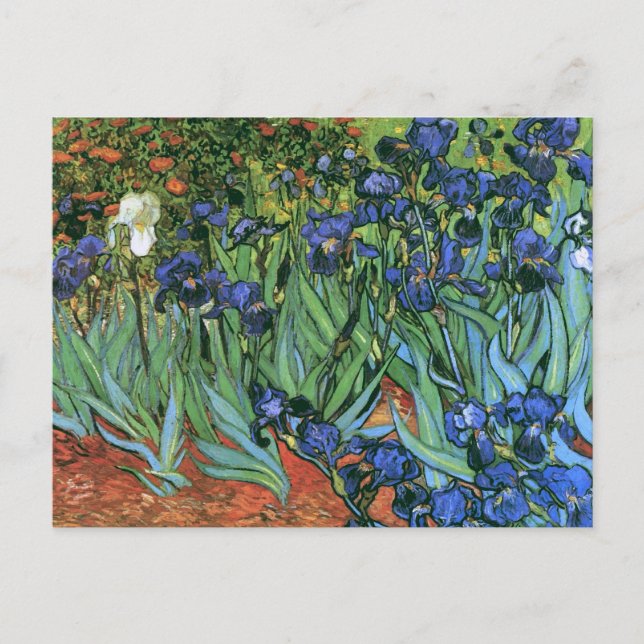 Irises (F608) Van Gogh Fine Art Vykort (Framsida)