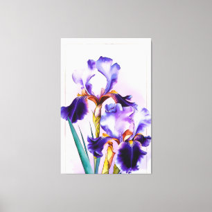 *~* Irises Flower Artsy Painting AP84 Iris Canvastryck