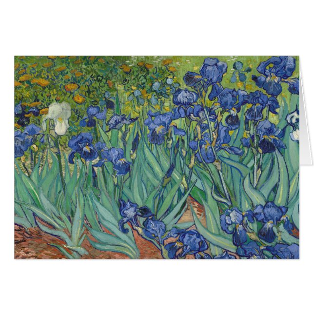 Irises Hälsningskort (Framsidan Horizontal)