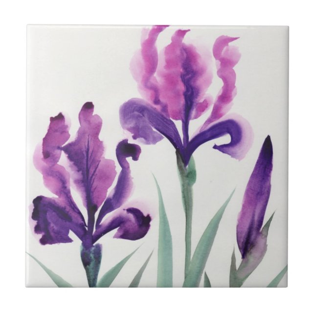 Irises Kakelplatta (Framsidan)