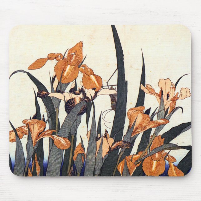 Irises Katsushika Hokusai Musmatta (Framsidan)