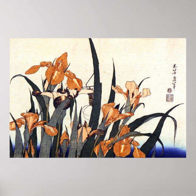 Irises, Katsushika Hokusai Poster (Framsidan)