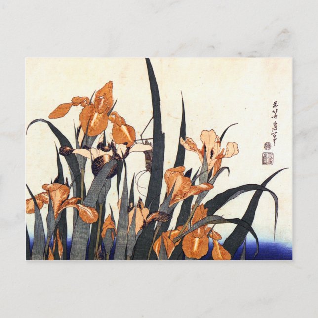 Irises, Katsushika Hokusai Vykort (Framsida)