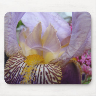 IRISES Lila Iris Blommor MUSDÄCKEN MUSDÄCKE Musmatta