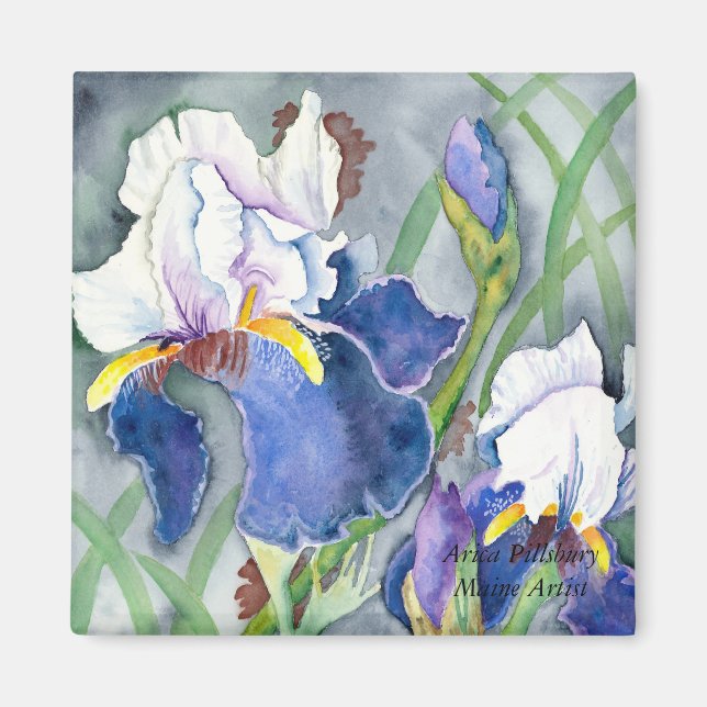 IRISES Magnet (Framsidan)