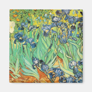 Irises Magnet