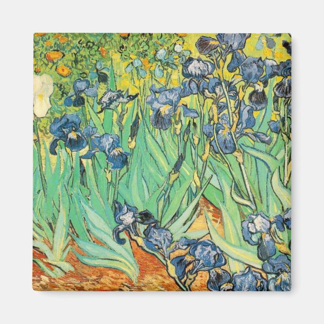 Irises Magnet (Framsidan)