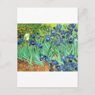 Irises ~ Monet Vykort