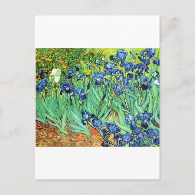 Irises ~ Monet Vykort (Framsida)