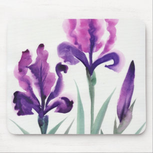 Irises Musmatta
