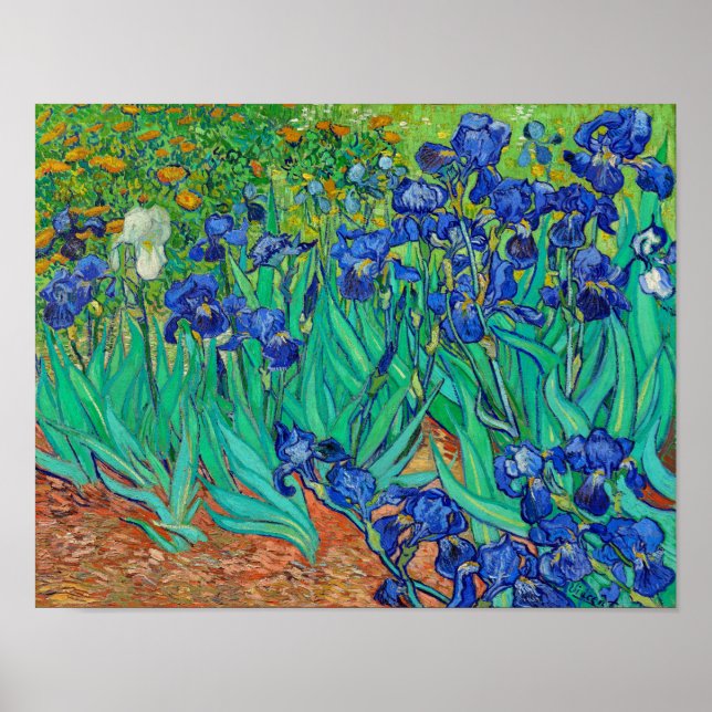 Irises Poster (Framsidan)