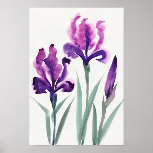 Irises Poster (Framsidan)