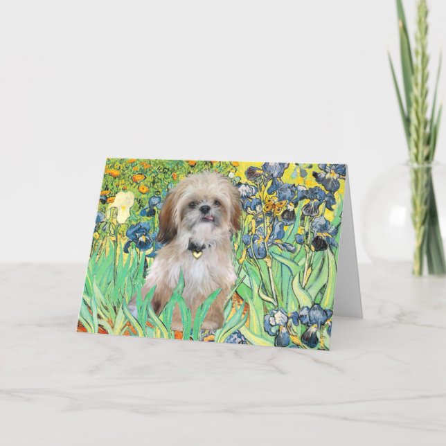 Irises - Shih Tzu (P) Kort (Framsida)