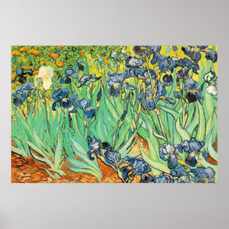 Irises - Van Gogh - c1889 Poster