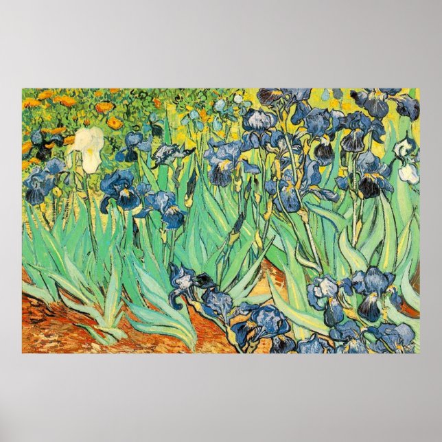 Irises - Van Gogh - c1889 Poster (Framsidan)