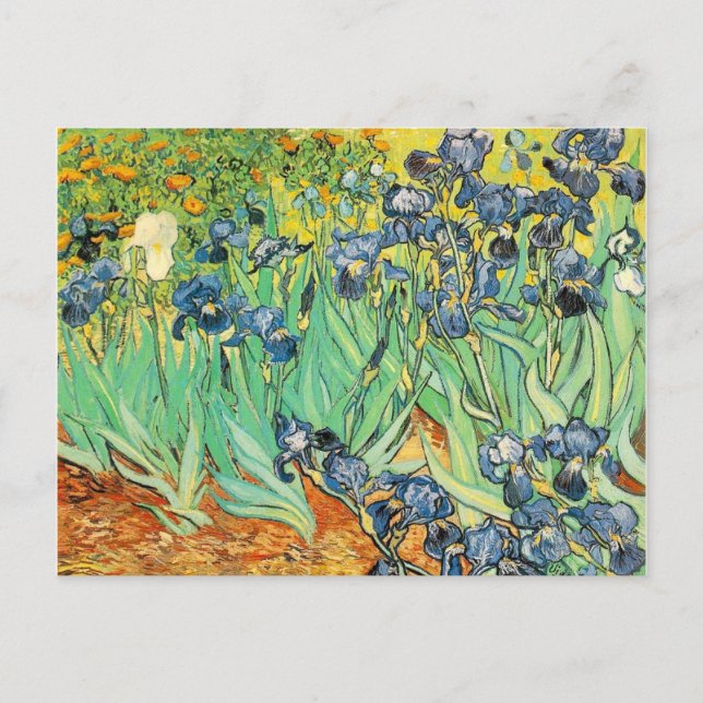 Irises - Van Gogh - c1889 Vykort (Framsida)