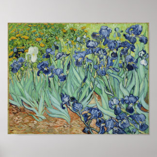 Irises - Van Gogh Print Poster