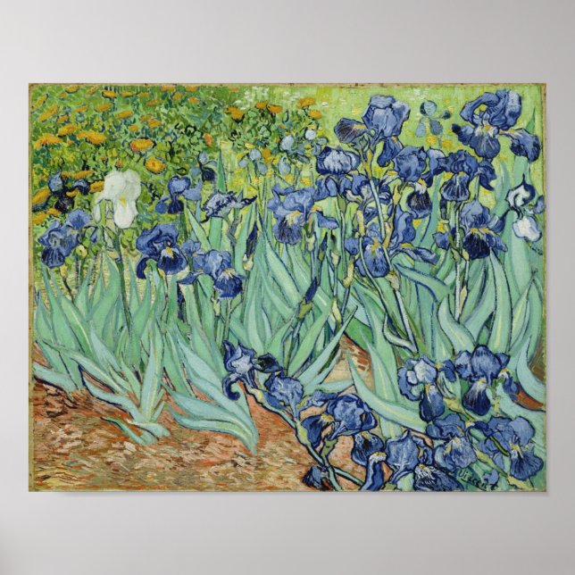 Irises - Van Gogh Print Poster (Framsidan)