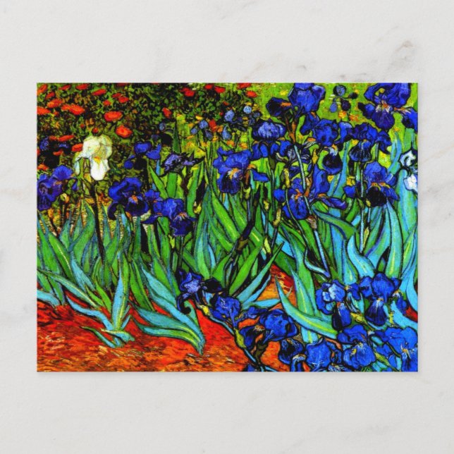 Irises, Van Goghs berömd blommigt tavla Vykort (Framsida)