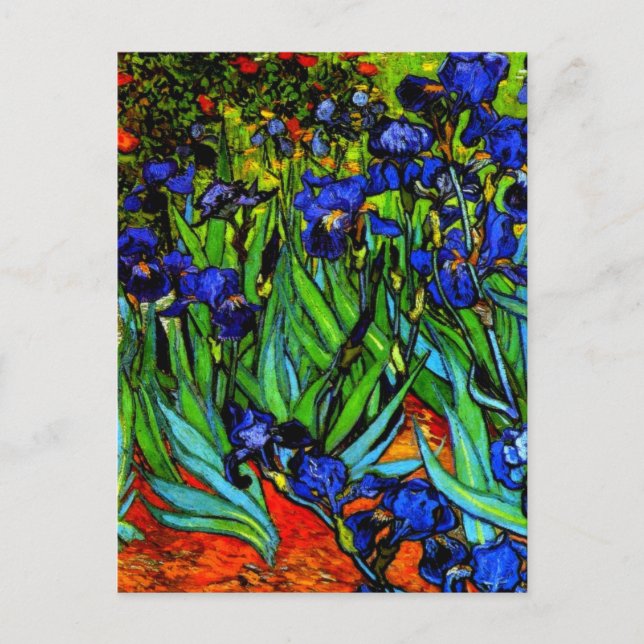 Irises, Van Goghs berömd blommigt tavla Vykort (Framsida)