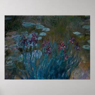 Irises & Vatten Lilies Poster