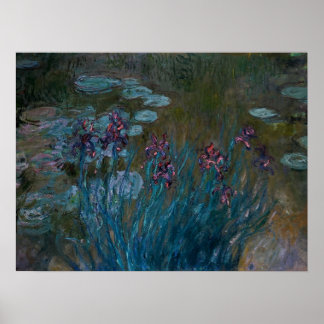 Irises & Vatten Lilies Poster