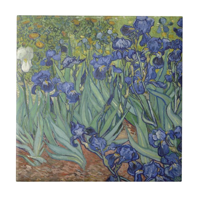 Irises vid blommor för Van Gogh blåttIris Kakelplatta (Framsidan)