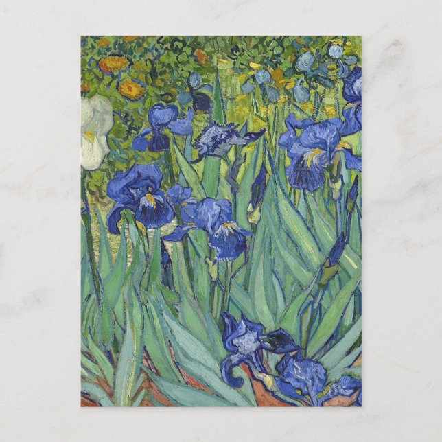 Irises Vincent van Gogh Artwork Helg Vykort (Framsida)