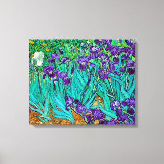 Irises, Vincent van Gogh Canvastryck