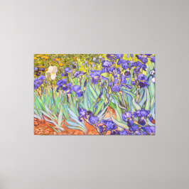 Irises Vincent Van Gogh Fine Art Canvastryck