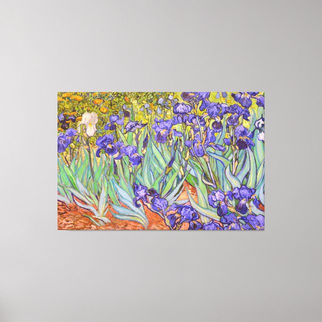 Irises Vincent Van Gogh Fine Art Canvastryck (Framsida)