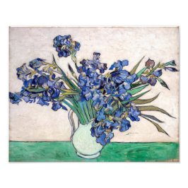 Irises | Vincent van Gogh | Fototryck