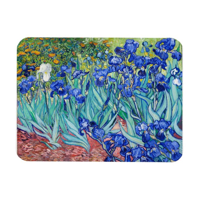 Irises Vincent van Gogh Magnet (Horisontell)
