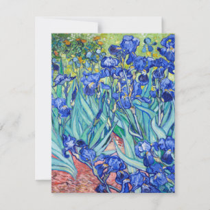 Irises Vincent van Gogh OSA Kort